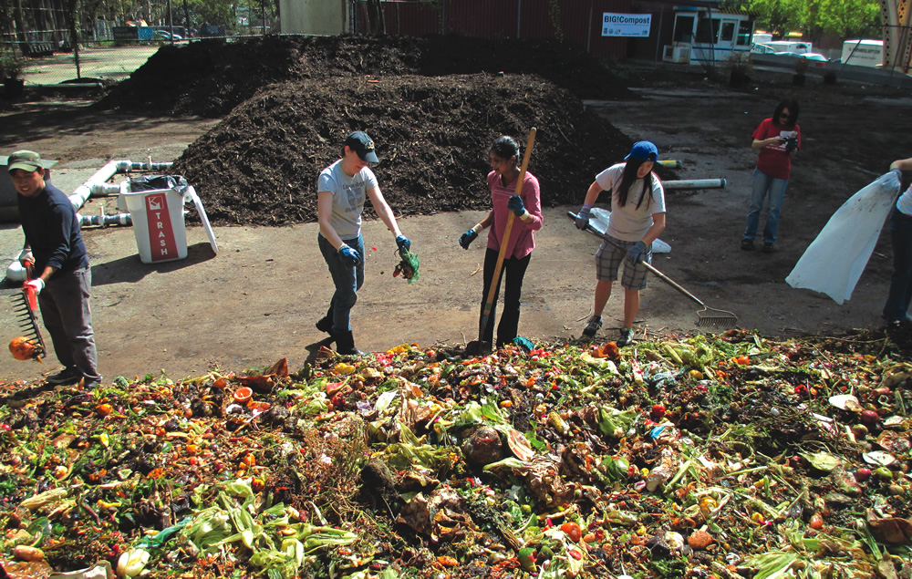 Compost pile