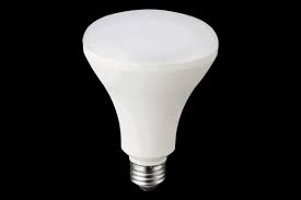 Flood Light Bulb