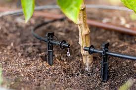 Drip Irrigation